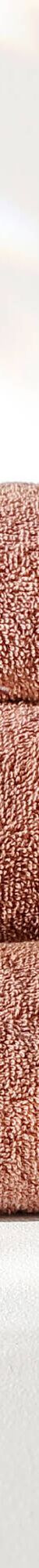 Collection serviettes de bain personnalisables confort moelleux (châtaigne) Collection serviettes de bain personnalisables confort moelleux (châtaigne)